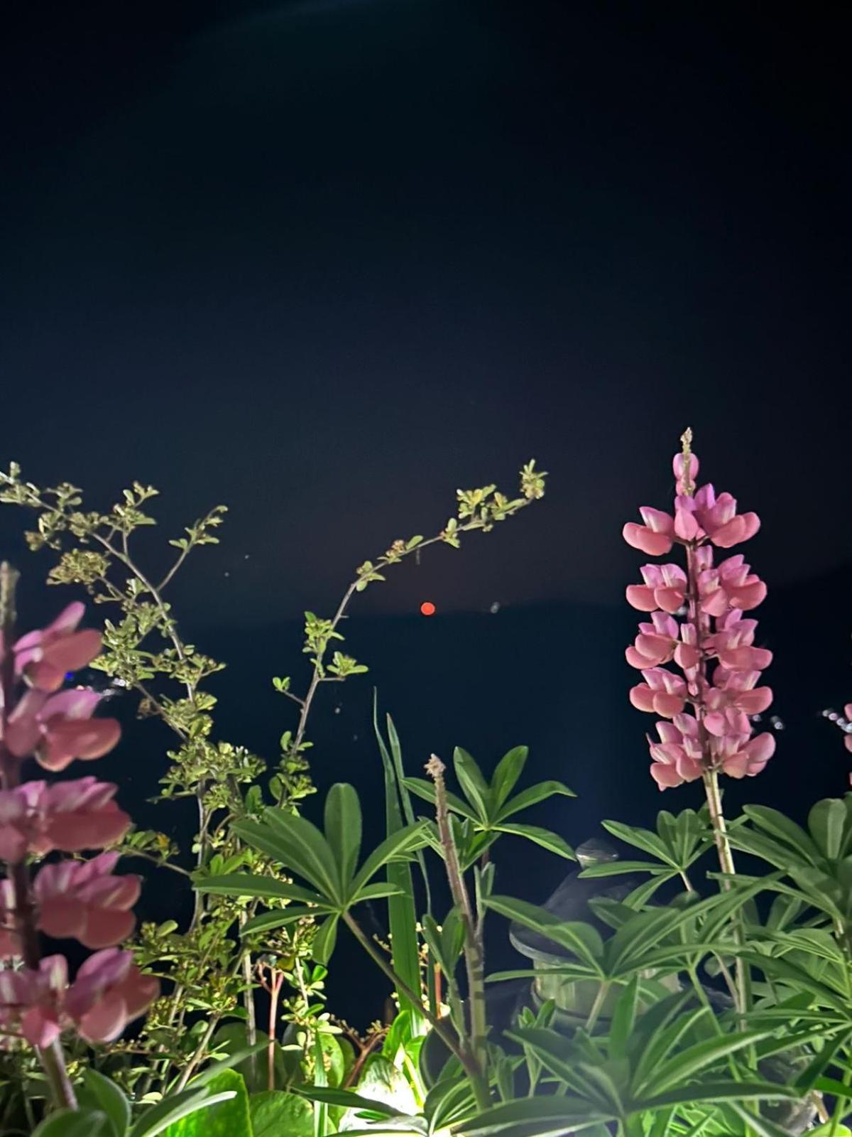 Murmincho Homestay Darjeeling  Extérieur photo